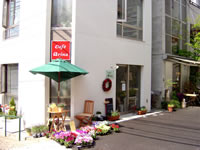 cafe アリーナ