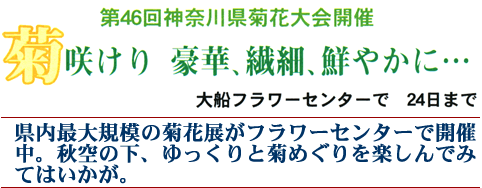 鎌倉芸術祭開催!
